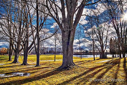 Midwinter Thaw_P1000852-6.jpg - Photographed along the Rideau Canal Waterway near Smiths Falls, Ontario, Canada.